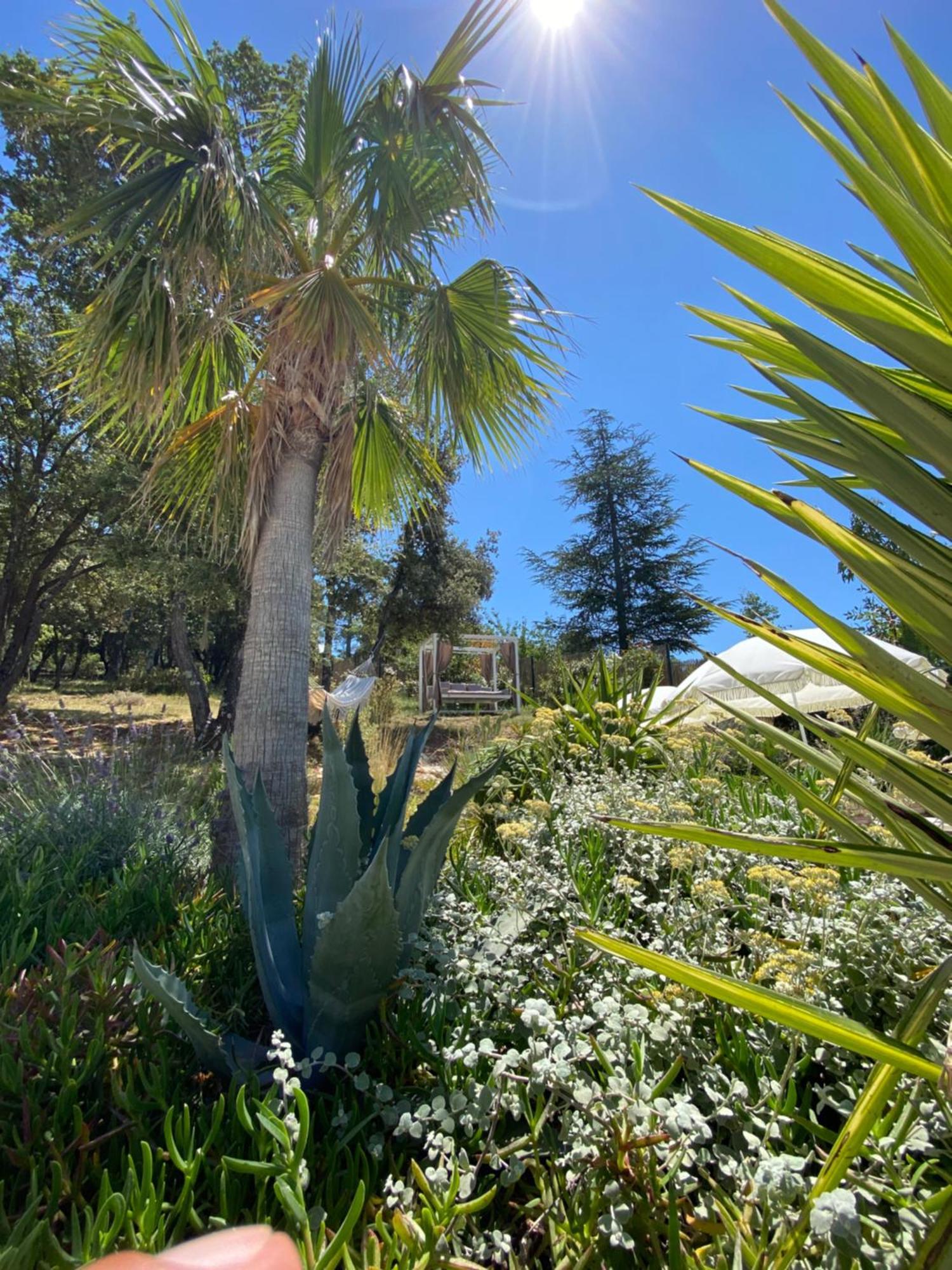 Villa Alba En Provence Besse-sur-Issole Zewnętrze zdjęcie