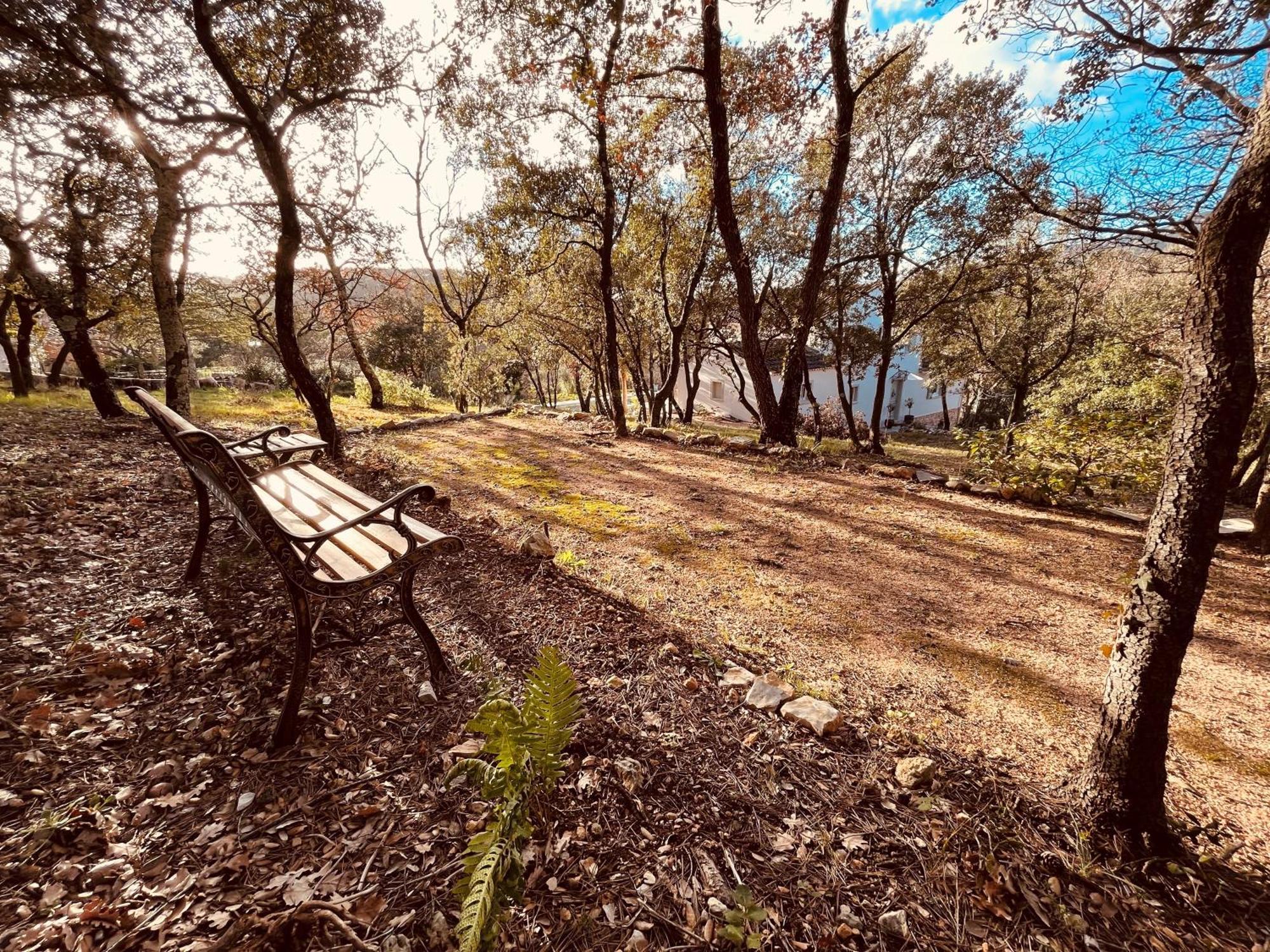 Villa Alba En Provence Besse-sur-Issole Zewnętrze zdjęcie